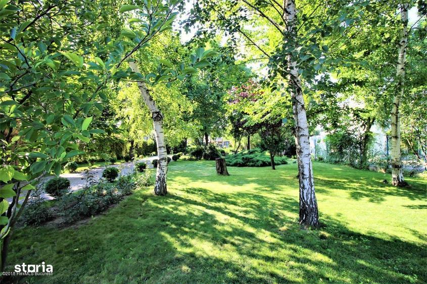 Buftea teren pe colt cu dubla deschidere 500 mp AConstruire P+E - 5