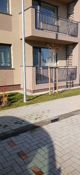 Apartament 3 camere - 8