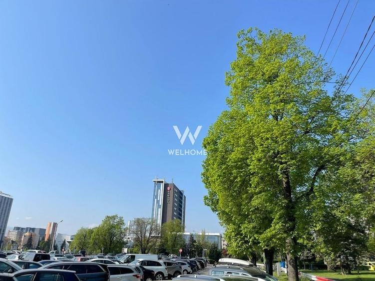 Oportunitate investitie, central , cu pivniță și pod - 8