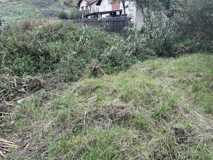 Teren intravilan 890mp in Chinteni – zona centrala, strada principala - 4