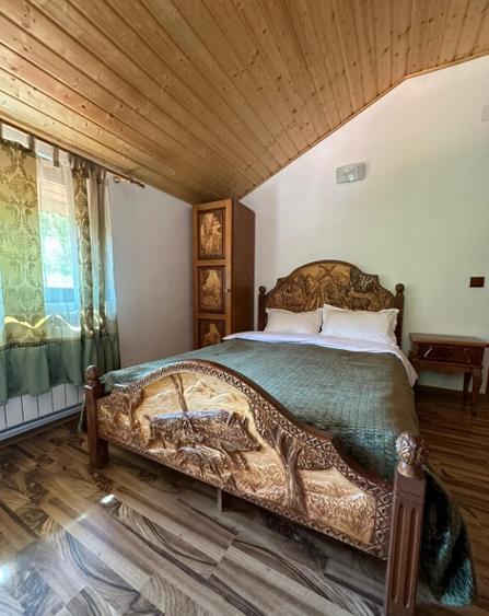 Pensiune 8 dormitoare Gureni, Gorj - 2