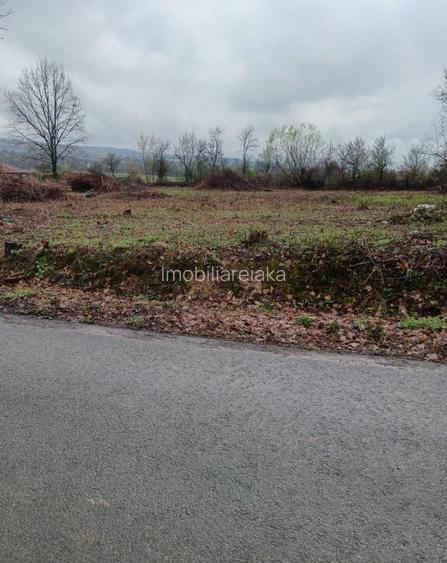 Unguras, 20 ari teren