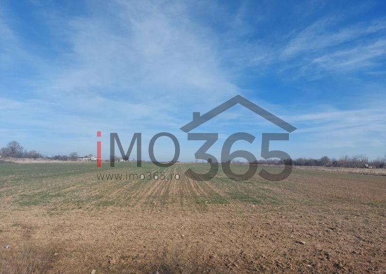 Teren intravilan loturi Parvu Rosu 500 mp - aproape de Pites - 2