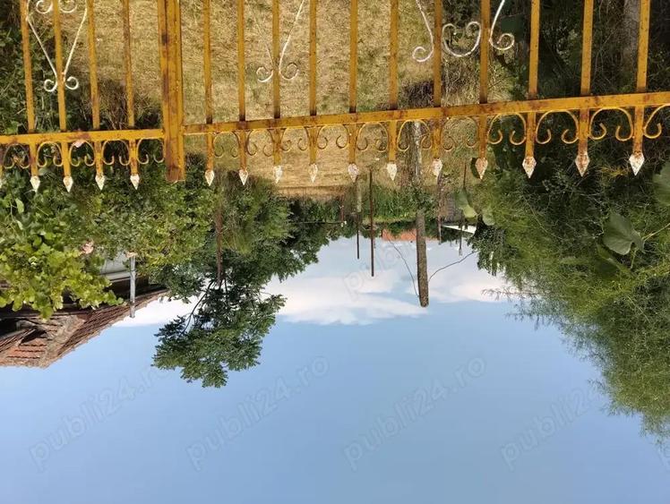 Casa de vanzare in Domanesti - 1