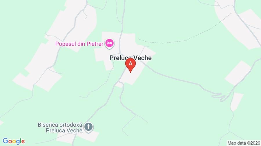 Teren de vanzare-Preluca Veche  - 1