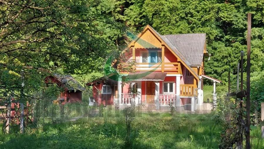 Casuta din Povesti, Baita, 1332 mp teren intravilan, la liziera padurii - 6