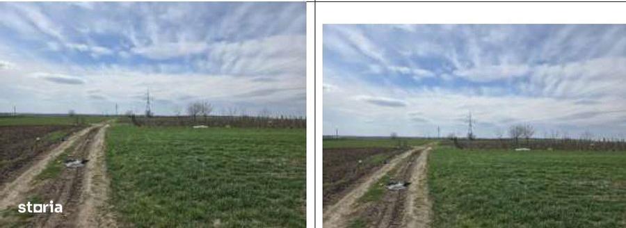 Teren extravilan Cota parte 29/64 Greaca, ID: R3030129 - 3