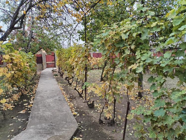 Casa cu teren -  central Segarcea - 1