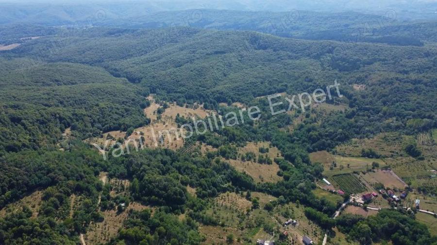 Teren de vanzare in comuna Baicule?ti, sat Valea lui Enache, jude? Arge?. - 7