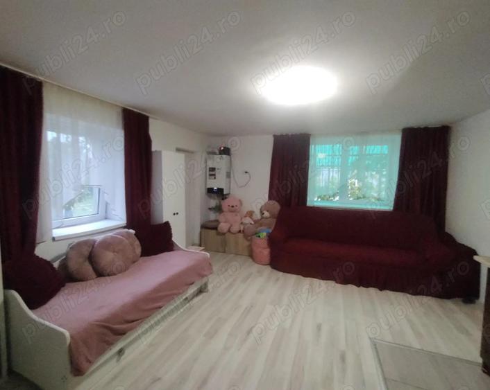 Vand casa Pecica - 9