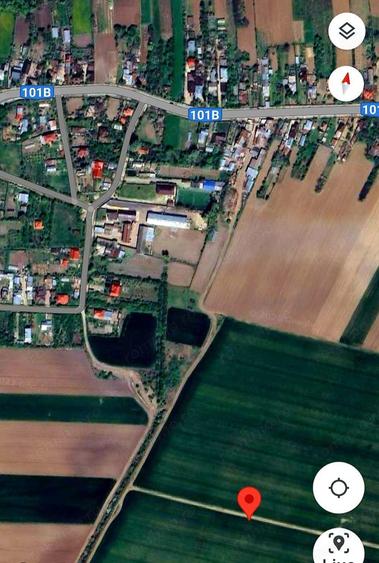 Vanzare 2500 mp, sau 5000 mp, sau 7500 mp teren in Butimanu apropierea Bucuresti pret negociabil - 3