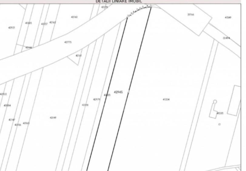 Teren intravilan, 13.025 mp, 40mp deschidere zona Carcea - 4