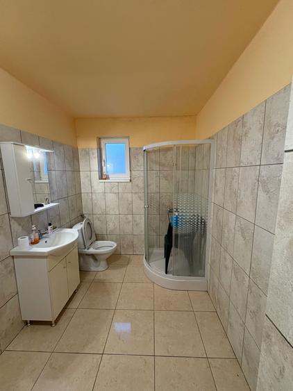 Casa de vanzare, judetul Timis - 4