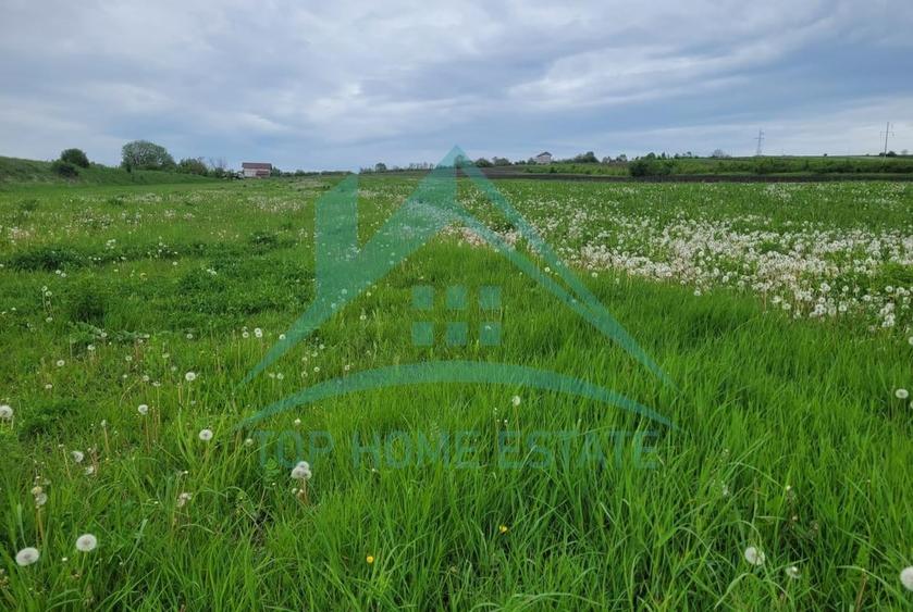 OPORTUNITATE! De vanzare terenuri extravilane in Tureni si Turda! - 2