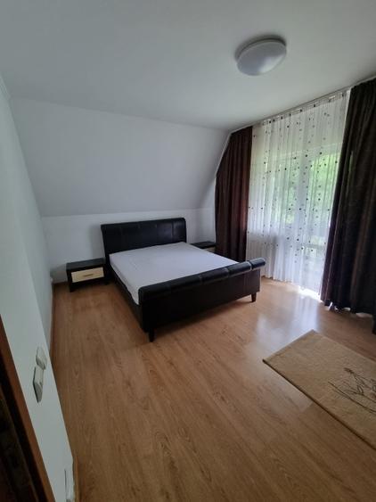 Proprietar – ofer spre vânzare vilă Corbeanca/Tămăși, langa padure - 5