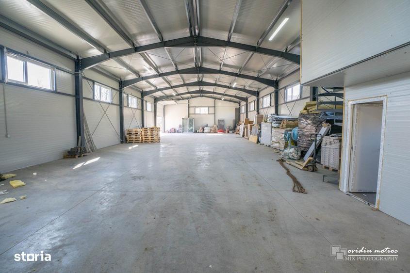 Hala singur la curte Valea Chintaului - 3