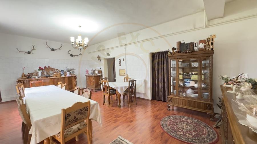 Casa 7 camere cu Teren 4.620 mp | Potential pentru rezidenta sau afacere | Carei - 14