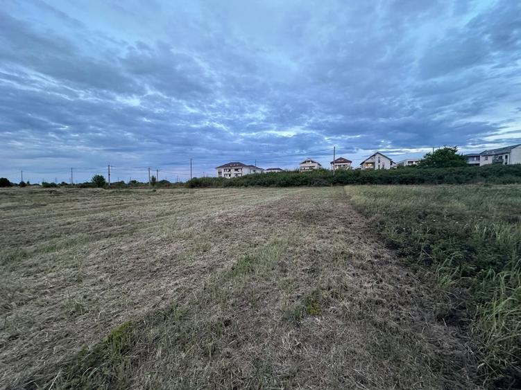 Teren servici cu front la BLD Petre Tutea - 4