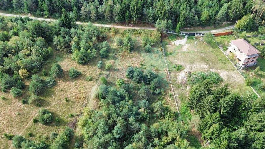 Teren Sacele / Strada Valea Larga 2000 mp - 5