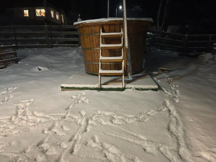 Oportunitate de investiție – Cabană turistică de vânzare în zona montană Ortoia - 10