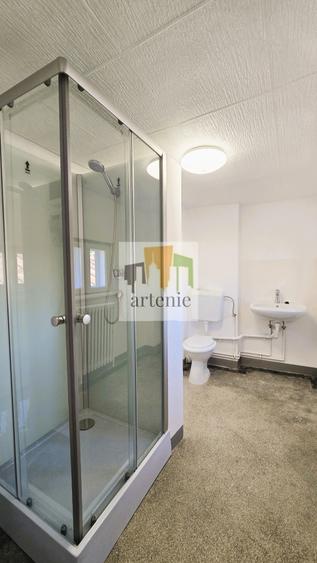 Pache Protopopescu  mansarda 32 mp ideal meditatii/  rezidenta - 4