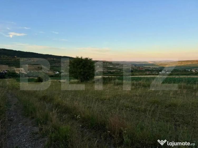 Teren extravilan in zona Dealul Fanatelor-Clyde Town - 2