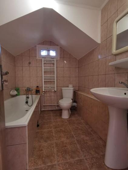 Dobroesti 5 Camere Vila La Curte - 15