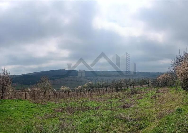 Aroneanu - Dorobant TEREN 46000mp PUZ realizat 59 de case la - 10