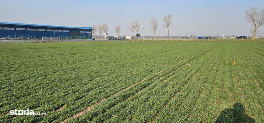 Buftea Str. Milano - 2