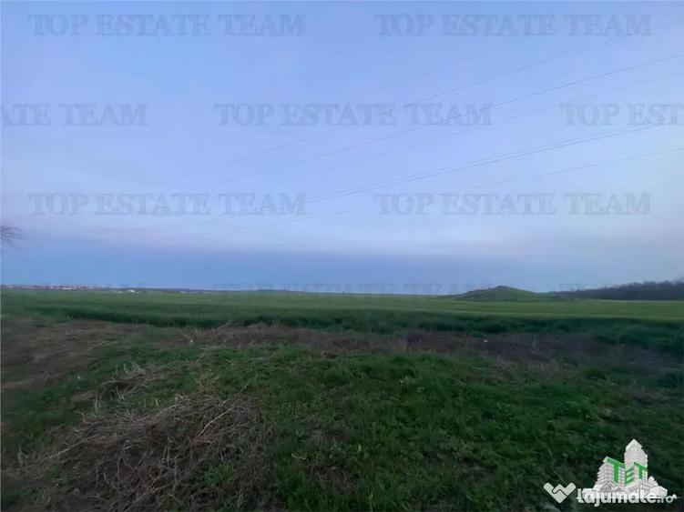 Teren intravilan 15000 mp Costinesti, Constanta - 8
