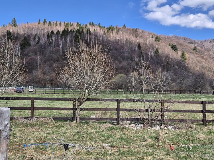 Teren superb intravilan 1200 mp, Plaiul Foii, vedere la munte - 11