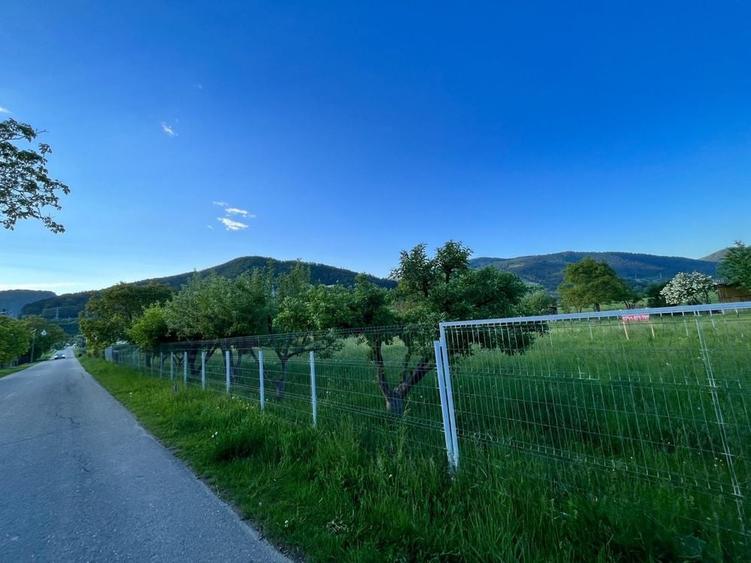 Teren de 1780 mp, în Pângărați