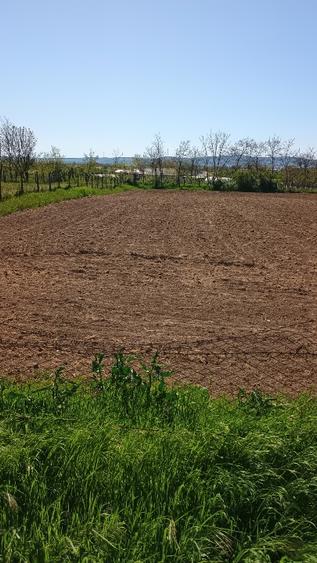 Teren Construcții intravilan de 1500 mp, în Valea Nucarilor