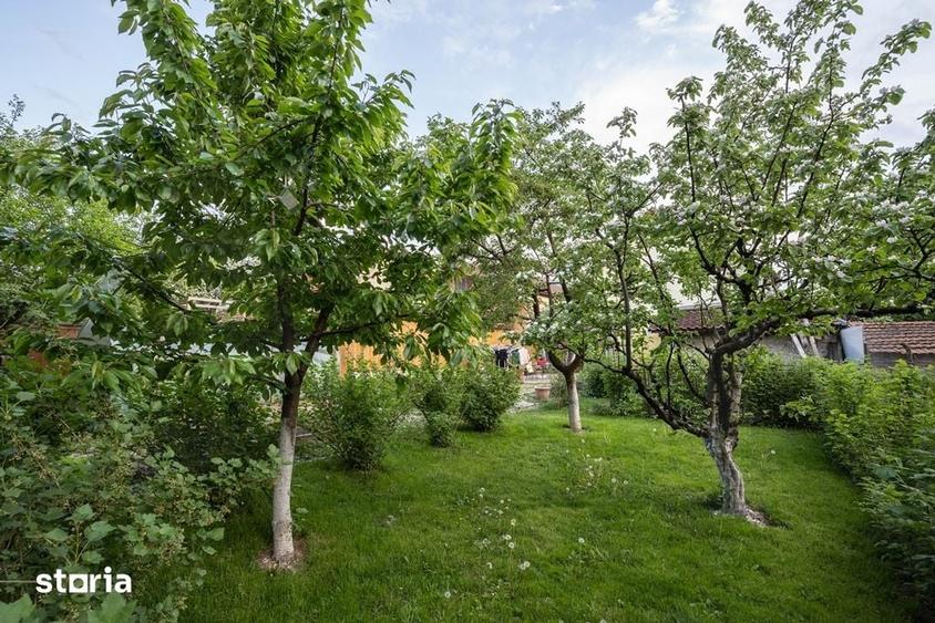 Casă cu Teren 556 Mp în Cernatu