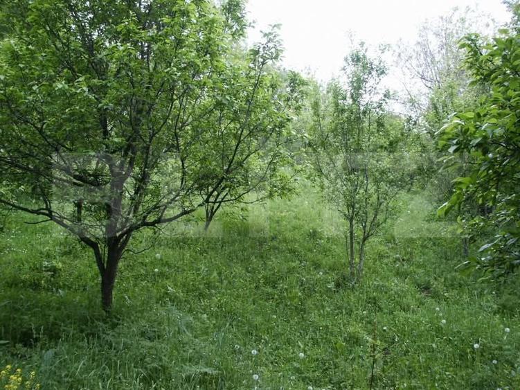Teren Construcții intravilan de 884 mp, în Fieni