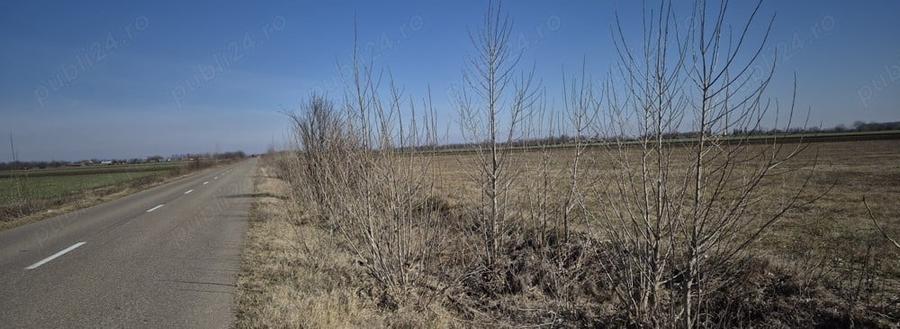 Teren de 36800 mp, în Scutelnici