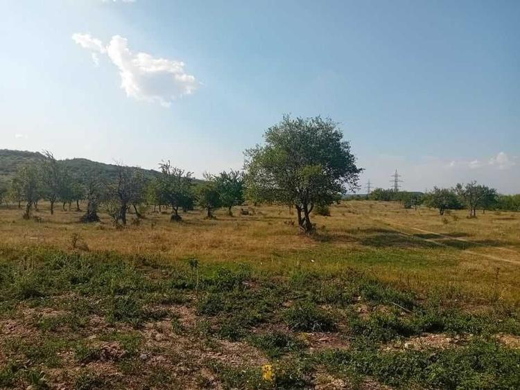 Spațiu comercial, în Filipeștii de Pădure