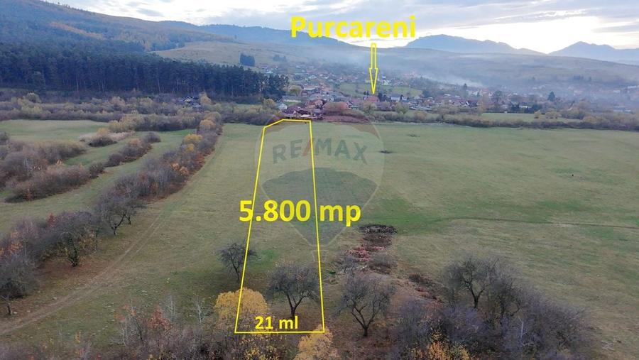 Teren agricol extravilan de 5800 mp, în Purcăreni