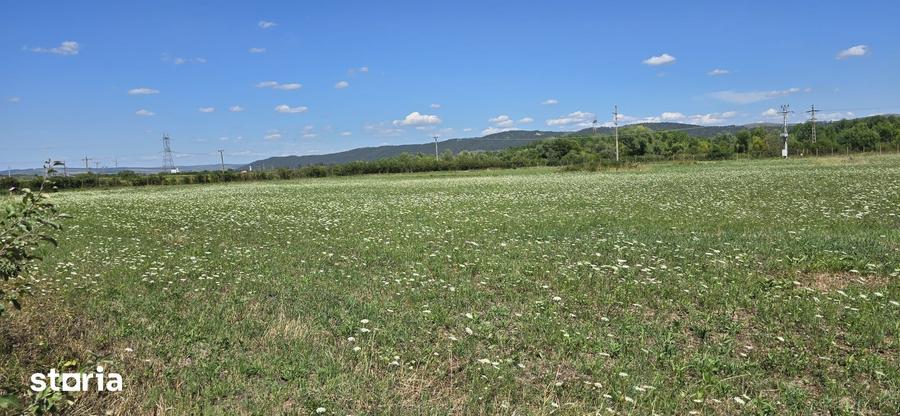 Teren in zona Rascruci ideal pentru hala, toate utilita?ile - 11