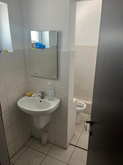 Hala industriala pentru depozitare sau productie in Danubiana - 6