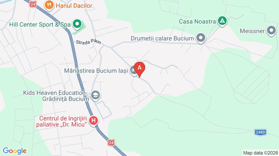 Vand teren intravilan de construit 5000mp Bucium - 1