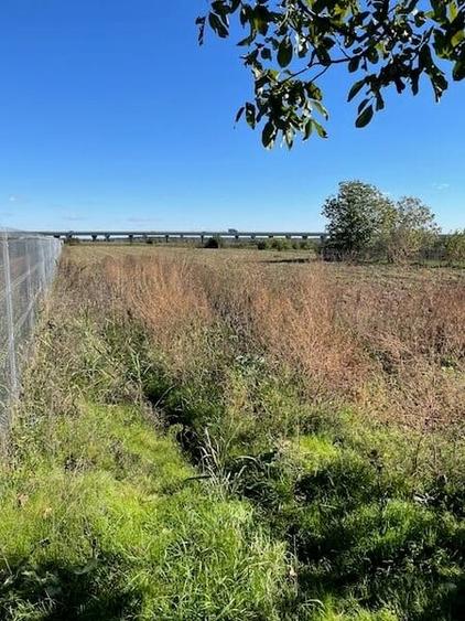 Teren in Moara Vlasiei, 10 min de Bucuresti, toate utilitatile! - 1