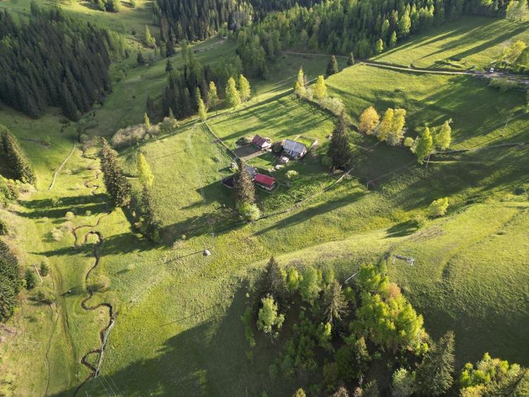Teren de vanzare, Muntele Bocului Baisoara ,teren1000 mp - 7