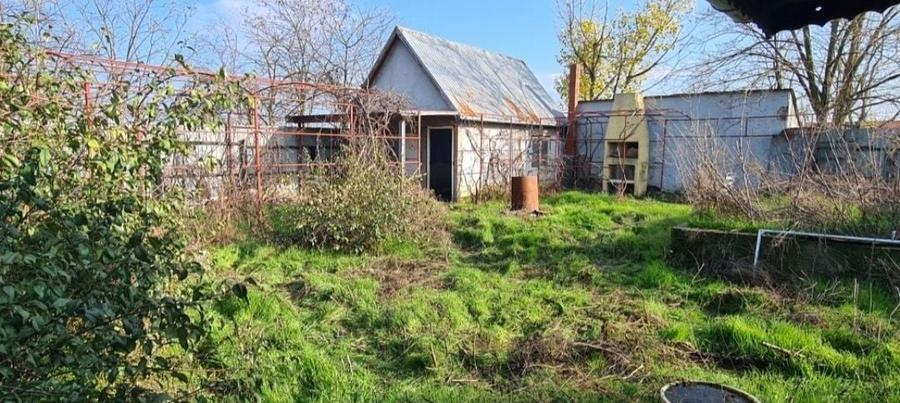 Teren 15 km de Bucuresti 2 constructii, fundatie 90mp, put apa, fosa.. - 5