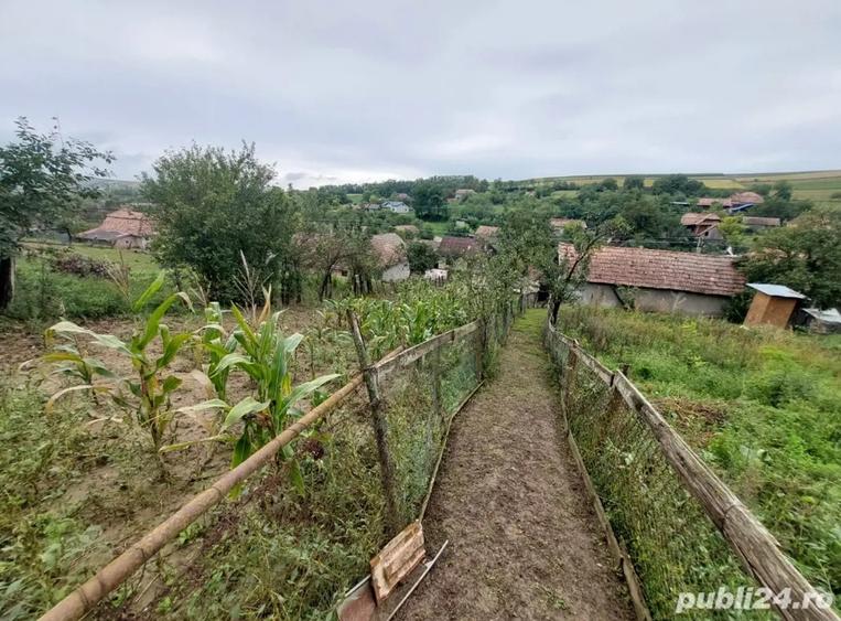 Casa de vanzare - 4
