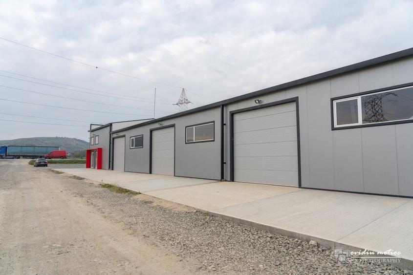 Hala 2022 singur la curte - 15