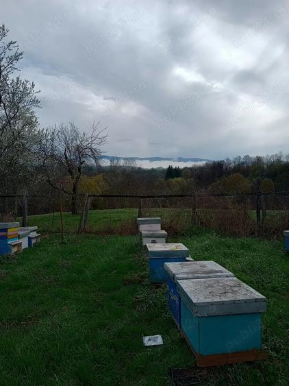 Casa la sat- cu teren de 3000 m - 7