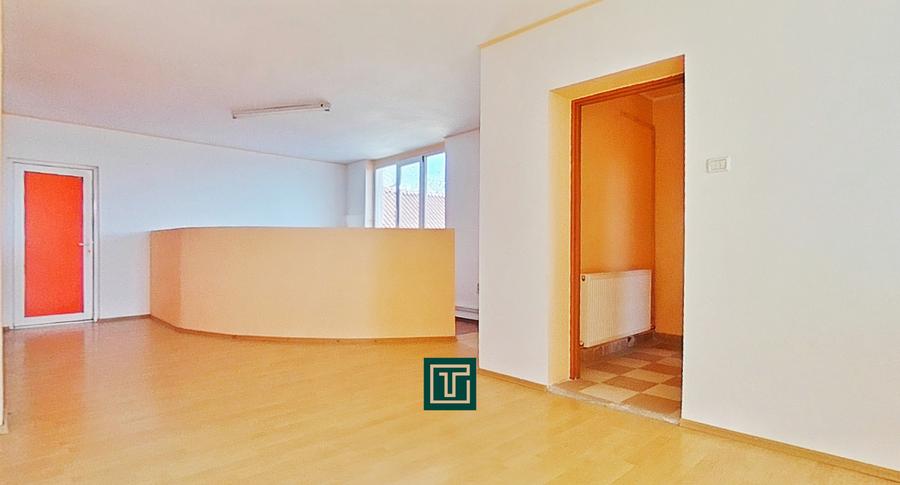 Clădire cu 10 camere în Aradul Nou – ideală pentru investiție/afaceri - 6