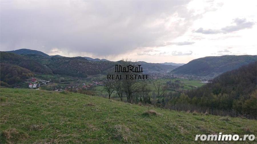Domeniu de 7 ha in Apuseni - Criscior, Hunedoara - 5