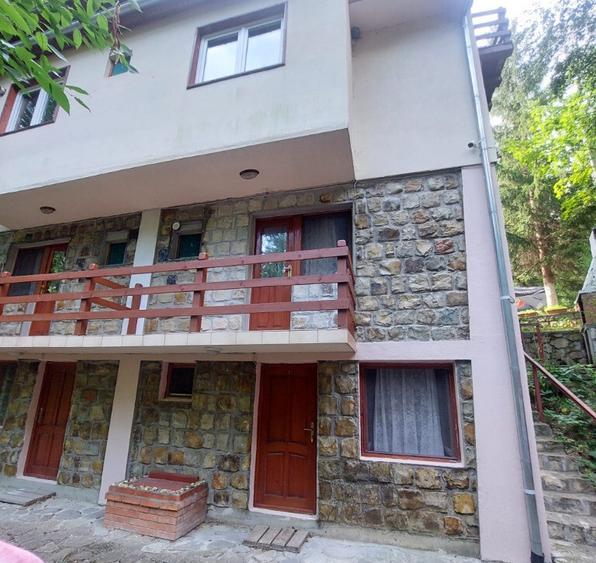 Pensiune turistica (afacere la cheie) Lepsa - 1